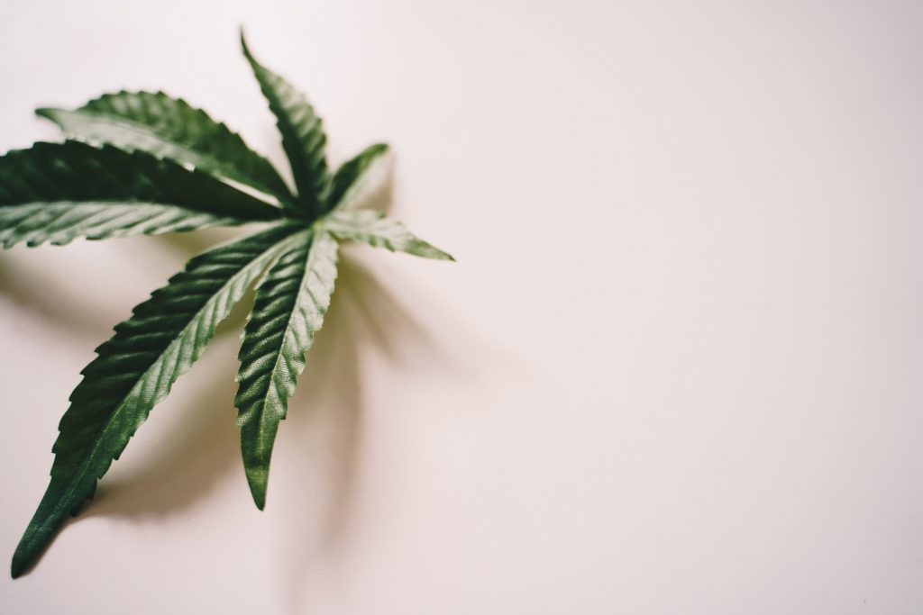 10 Questions to Ask Before Buying Any CBD Cream